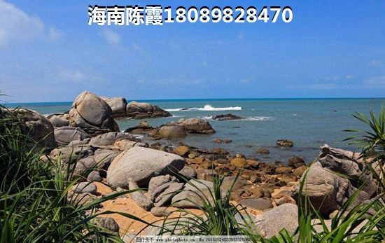 桂台两岸健康城交通图